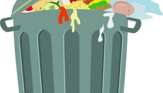 Educating Youth About Food Waste