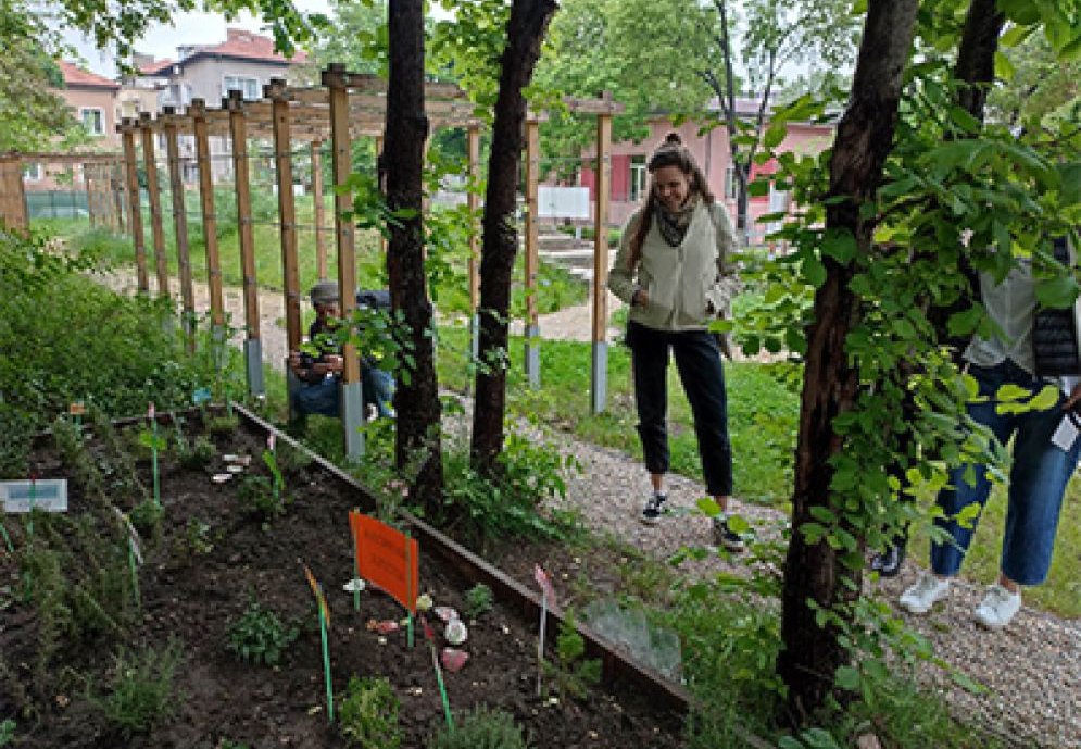 Herbal Garden in School